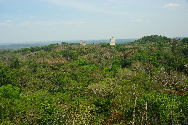 c0011649_8411018.jpg