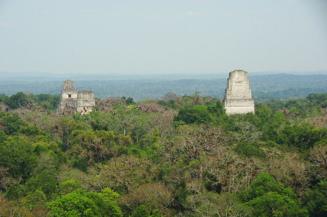 c0011649_844455.jpg
