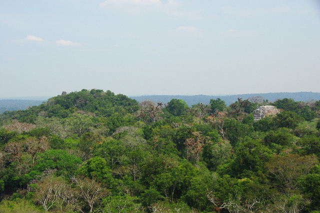 c0011649_846240.jpg