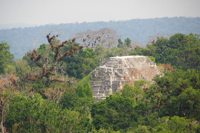 c0011649_8471335.jpg