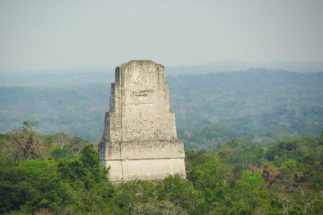 c0011649_847428.jpg