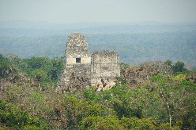 c0011649_848159.jpg