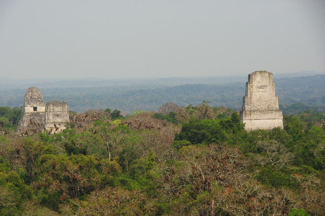 c0011649_8484959.jpg