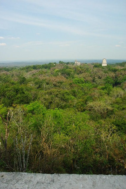 c0011649_851993.jpg
