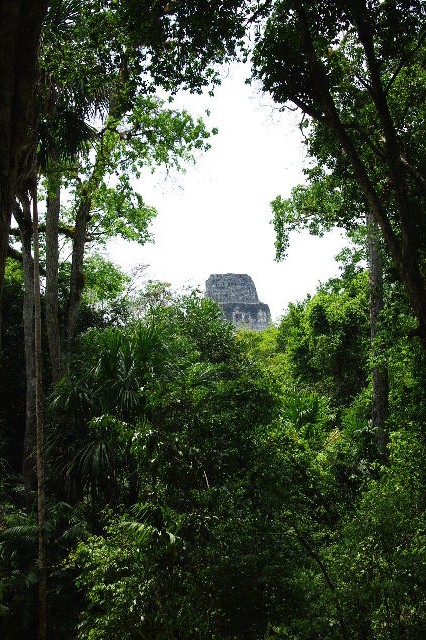 c0011649_885825.jpg