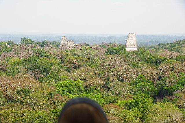 c0011649_904743.jpg