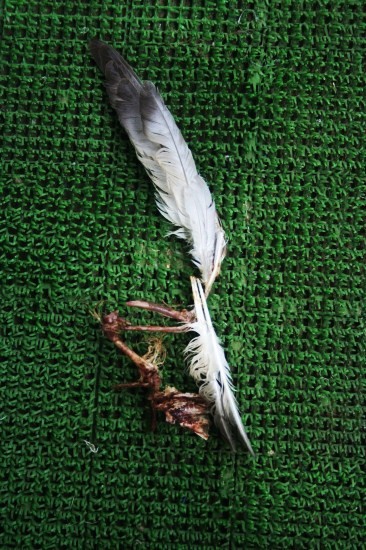 e0126350_17471120.jpg