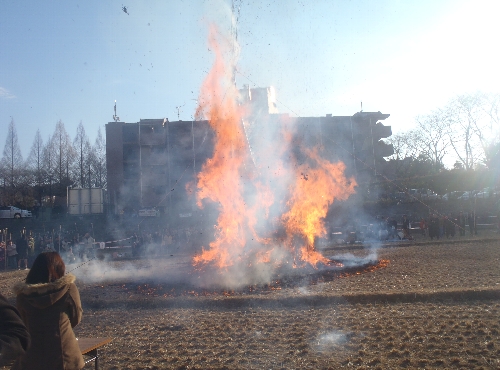 1月22日(土)　どんど焼き_c0063953_13185167.jpg