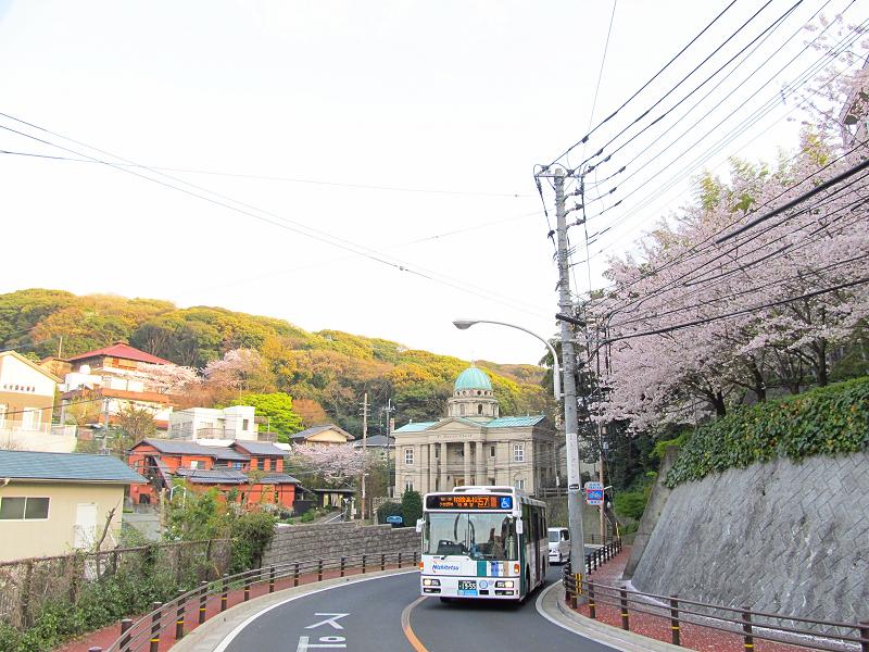 桜坂・(福岡市中央区)_d0158053_2328321.jpg