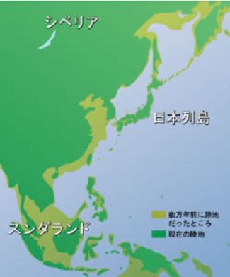 日本人はどこからやって来たか？①_f0215268_21565516.jpg