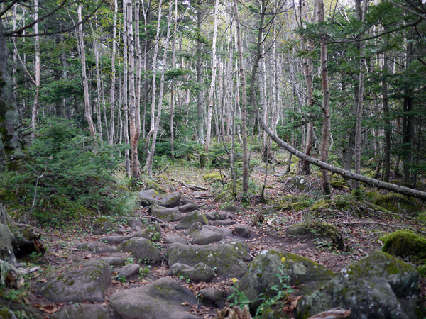 a0207672_16382211.jpg