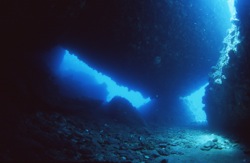 c0039073_17145487.jpg
