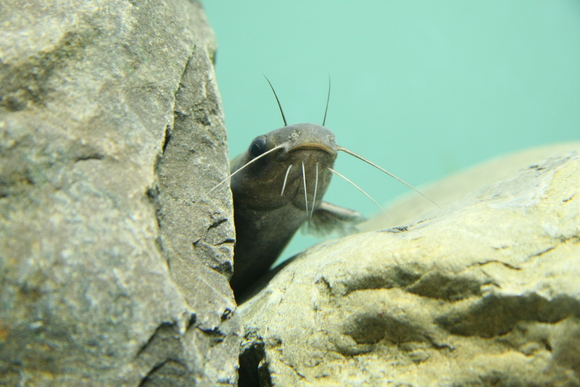 c0196076_2275787.jpg