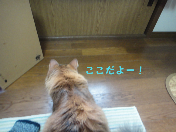 e0180177_18201671.jpg