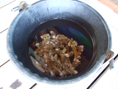 c0128278_17253271.jpg
