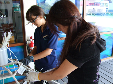 c0128278_17431447.jpg