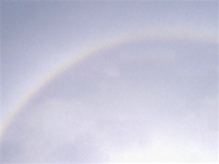 a0137279_1872479.jpg