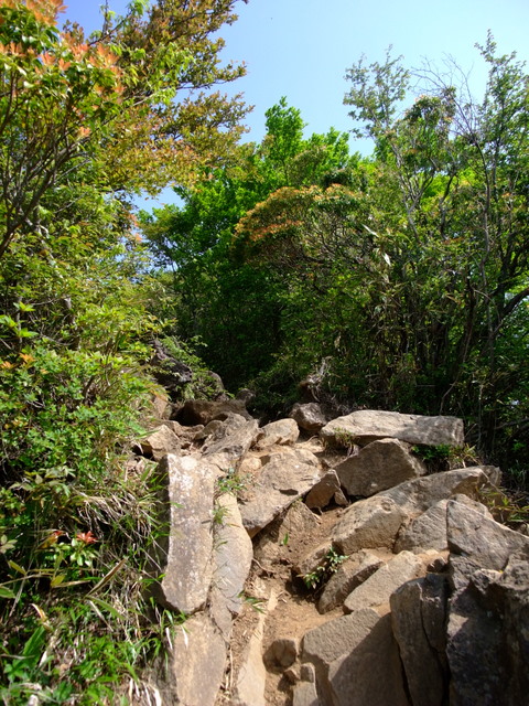 親友との山歩き♪＜金時山～丸岳＞　その②_a0043982_19584844.jpg