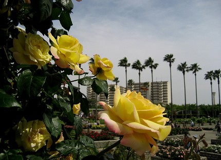 c0229483_17391970.jpg