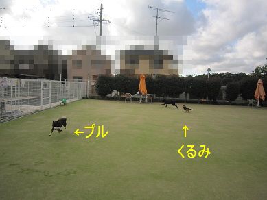 a0137294_2238637.jpg