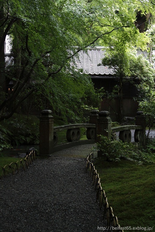 雨の瑠璃光院_f0095094_0372037.jpg