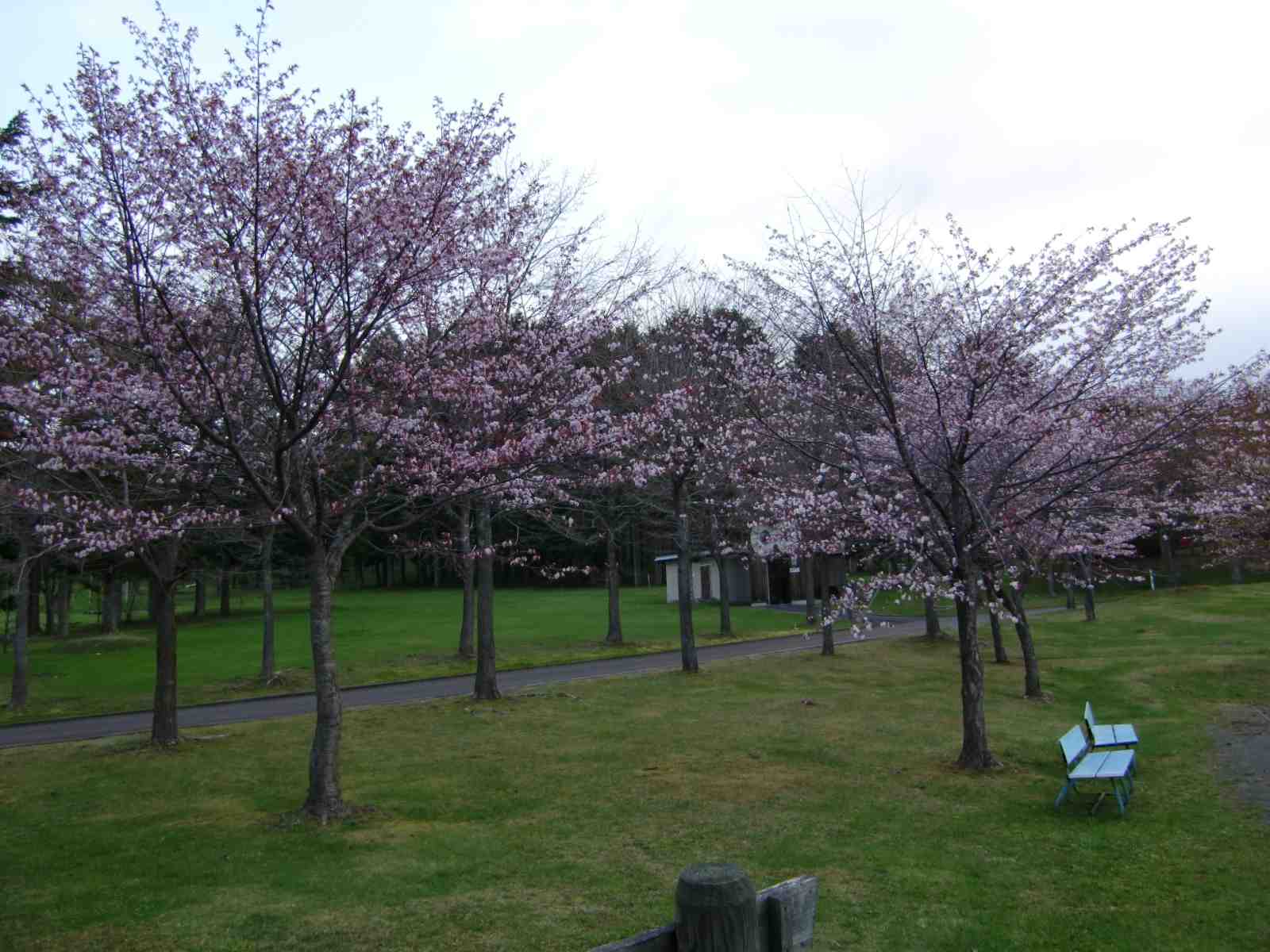 f0204695_22474210.jpg
