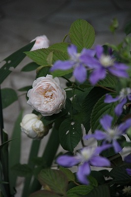 a0123003_23482957.jpg
