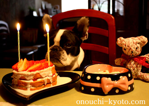 2歳のBirthdayもアミ部長は無敵です!_f0184004_23179100.jpg