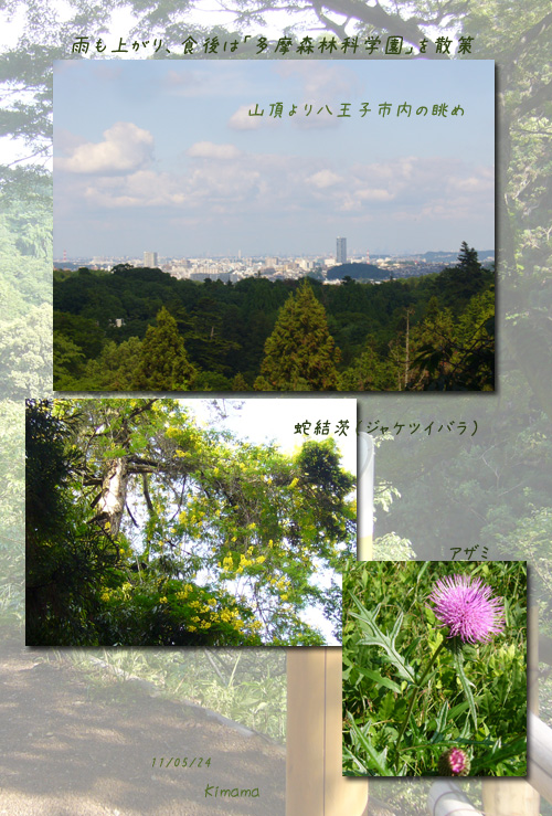 高尾山麓_c0051105_11485555.jpg