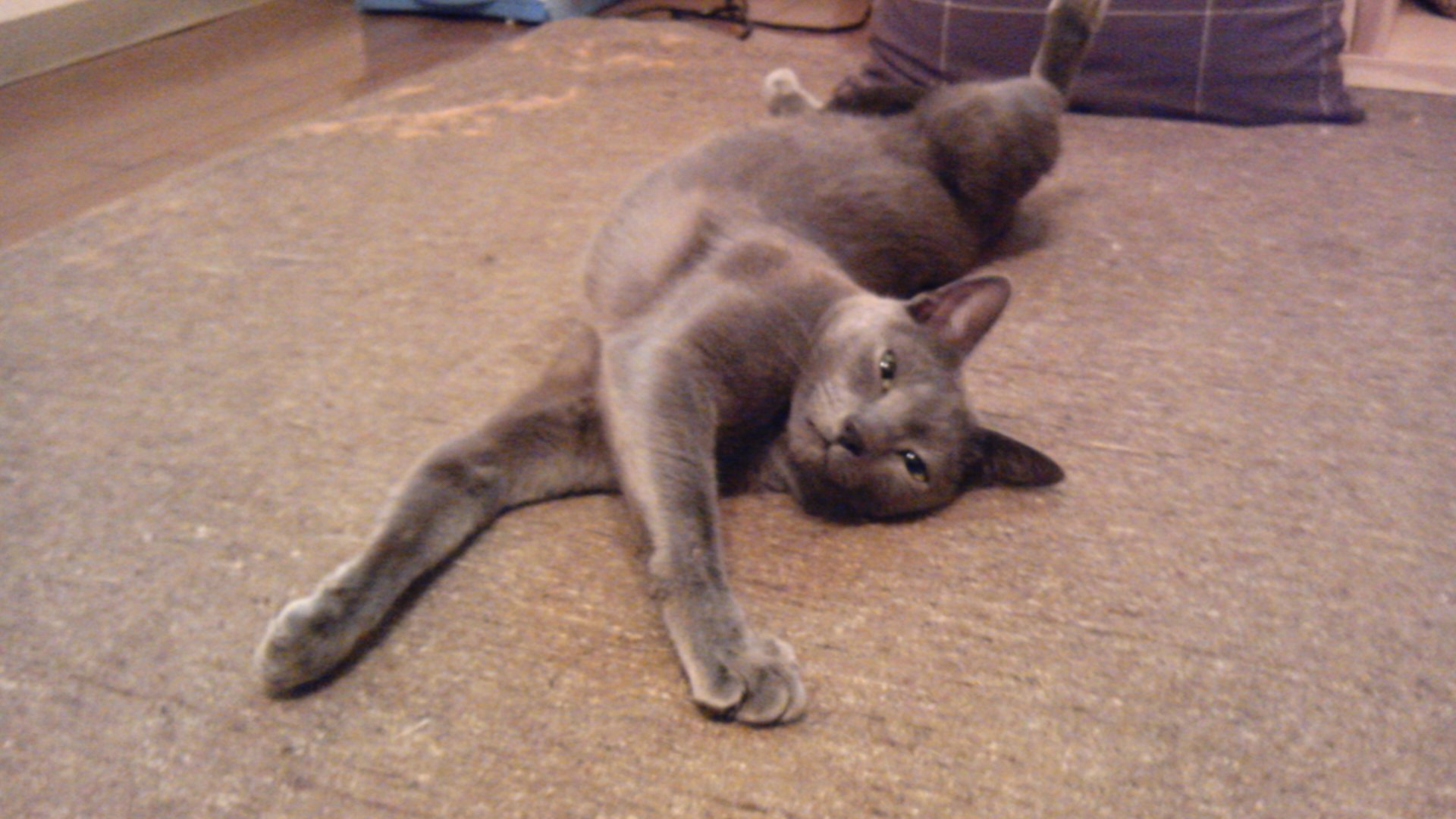 e0108705_083073.jpg
