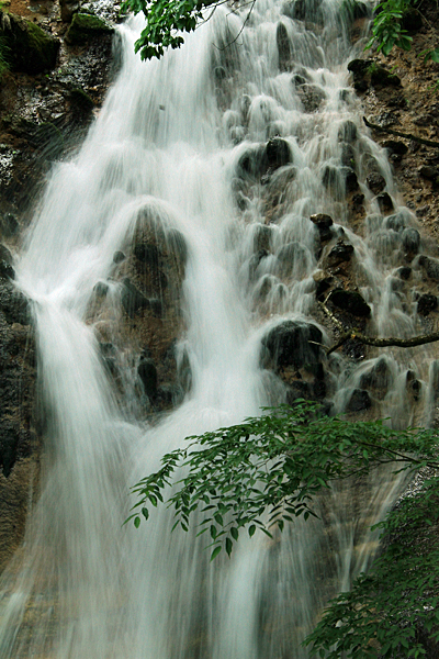 b0014607_8181338.jpg