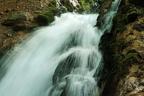 b0014607_819818.jpg
