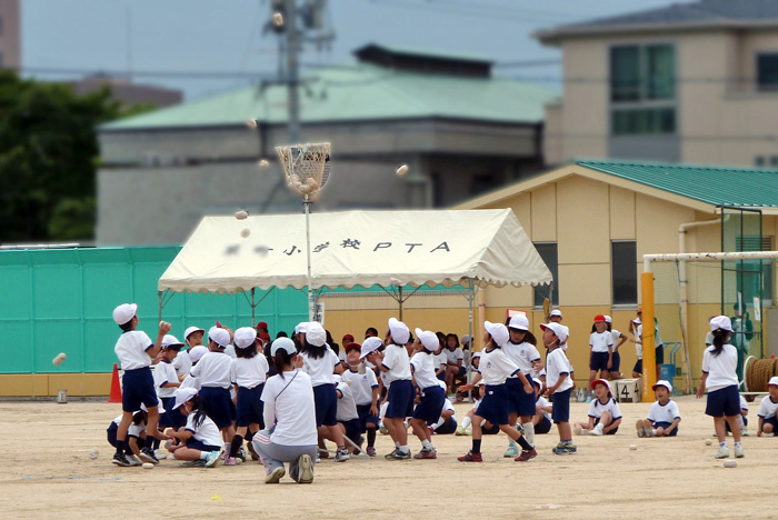 ピカピカ１年生の春の運動会_b0130112_84709.jpg