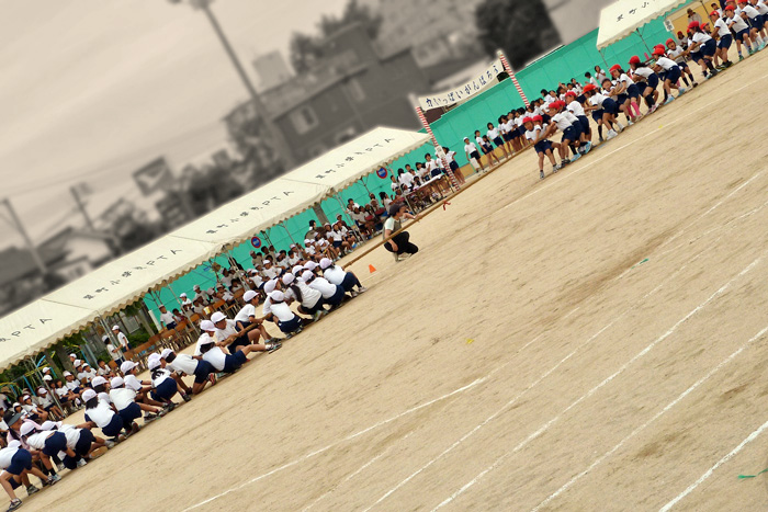 b0130112_8491440.jpg