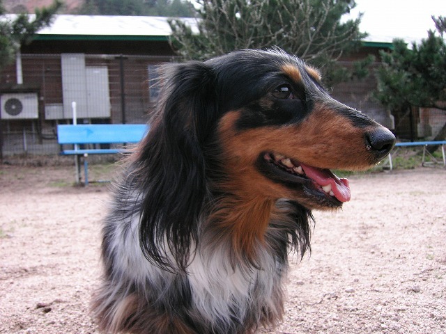 a0098513_8382121.jpg