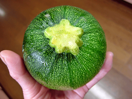 e0020214_2247880.gif