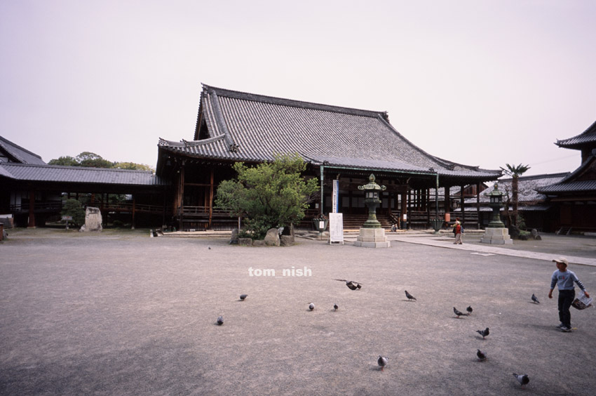 ぐるっと琵琶湖　vol.10 堅ボーロと大通寺_b0178615_22572.jpg