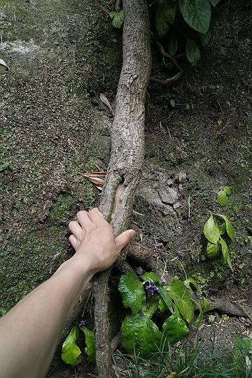 c0196928_8234214.jpg