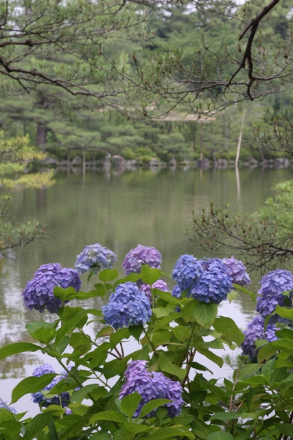 初夏の平安神宮へ（後編）_b0169330_731583.jpg