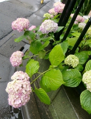 c0221732_23142715.jpg