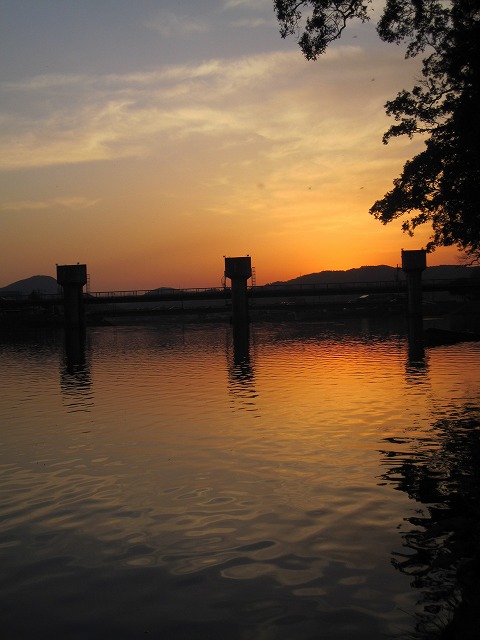 f0184433_1139230.jpg