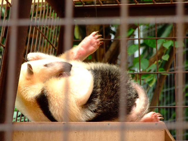 睡眠欲に勝るもの_a0179837_7494116.jpg