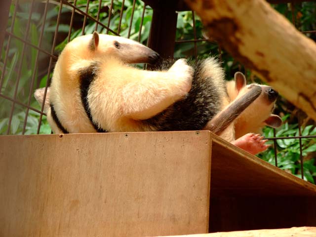 睡眠欲に勝るもの_a0179837_752633.jpg