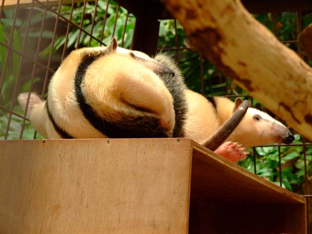 睡眠欲に勝るもの_a0179837_7535635.jpg