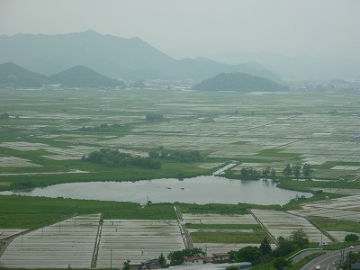 e0131541_1853124.jpg