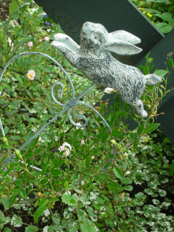 a0169150_2028426.jpg