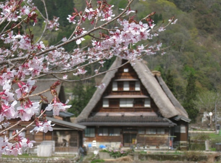 f0202151_1730815.jpg