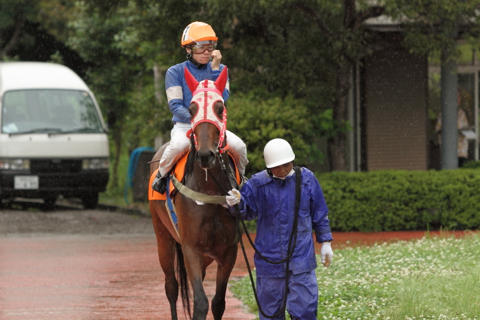 2011年5月28日(土) 高知競馬 2R C3-5_a0077663_5264185.jpg