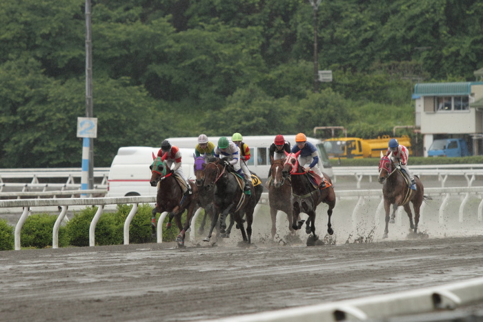 2011年5月28日（土） 高知競馬 2R C3-5_a0077663_5264954.jpg