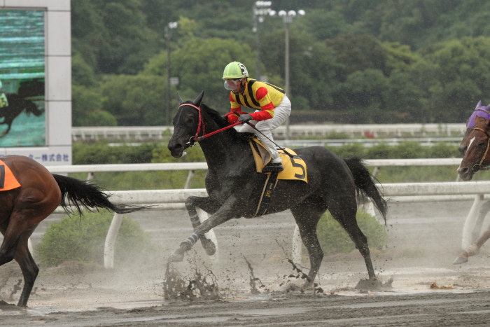 2011年5月28日（土） 高知競馬 2R C3-5_a0077663_5265792.jpg